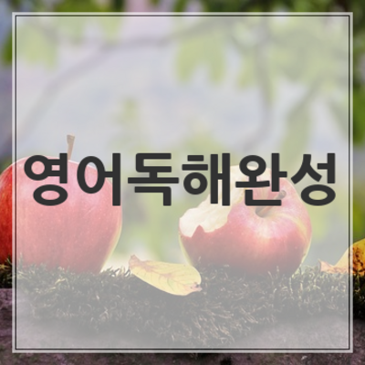 2018 자이스토리 영어 독해완성 답지