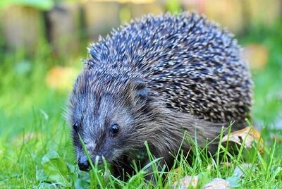 수력충전 기하와 벡터 답지.jpg 수력충전 기하와 벡터 답지