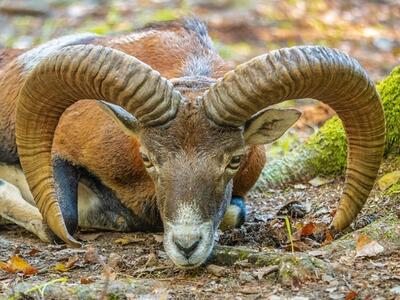 수력충전 미적분2 답지.jpg 수력충전 미적분2 답지