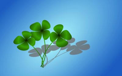 알수학 미적분 1 (2018년용) 답지