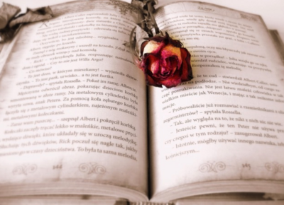 주니어 리딩튜터 예비 답지