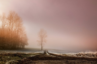 수학의힘 중등 알파 2-1 답지