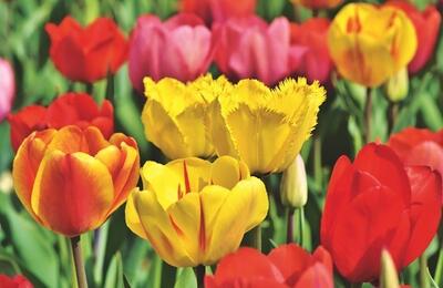 2020 수능특강 법과정치 답지