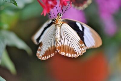 2020 수능특강 생명과학2 답지